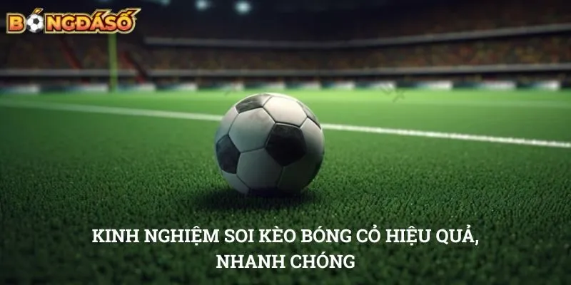 Kinh nghiệm soi kèo bóng cỏ hiệu quả, nhanh chóng