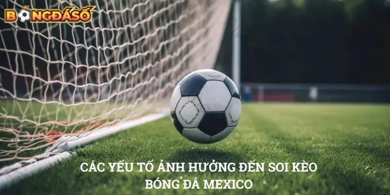 Các yếu tố ảnh hưởng đến soi kèo bóng đá Mexico