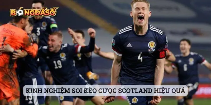 Kinh nghiệm soi kèo cược Scotland hiệu quả