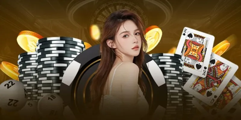 Lý do hội viên nên lựa chọn cá cược tại K8BET